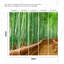 Murale forêt de bambou Mancelona Arashiyama-215166548