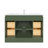 Aurilla 48 in. Single Sink Freestanding Bath Vanity in Forest Green with White Carrara Quartz Top-1352291500