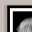 Ranunculus Print-81386762