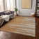  Machine Washable Indoor/Outdoor Chantille ACN996 Paprika Area Rug