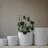 Genesta Ceramic Table Vase-743323775-743323774