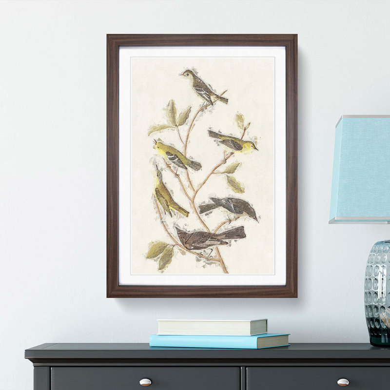Collection of Birds by John Audubon - Picture Frame Painting, Walnut Framed, 48cm H x 36cm W x 2cm D