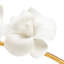 Tulip Orchid Stem in Stand