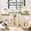 Toomsboro 155cm H Cat Tree