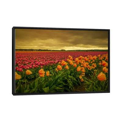 « inclinable tulipes i », reproduction de photo sur toile