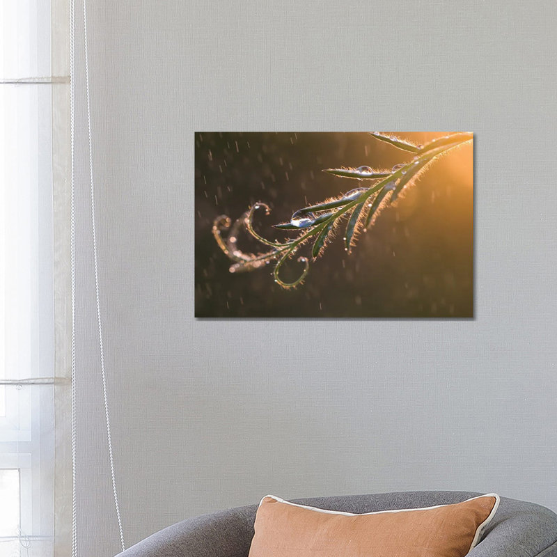 Summer Rain II by Mateusz Piesiak - Wrapped Canvas Print