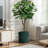 Jade Green Ribbed Round Ceramic Planter-317790822