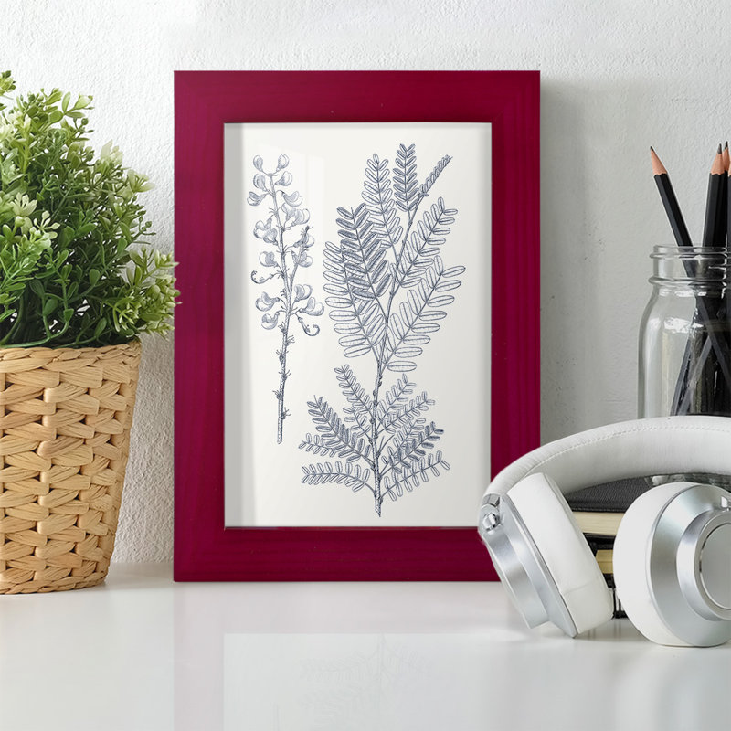 Indigo Botany Study VII, reproduction, Rouge, H 6 po x l 4 po x P 1 po