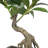 18" Artificial Bonsai Tree in Planter
