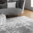 Deedra Modern Abstract Power Loom Performance Gray/White Rug-1615092026