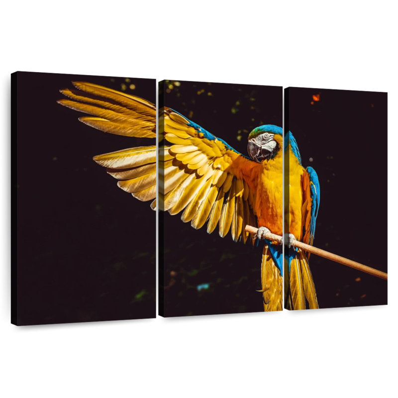Brampt Blue Gold Macaw, 32" H x 50" W