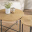 Ensemble de 2 tables basses et tables de bout - Panneau de fibres à densité moyenne imperméable avec revêtement en PVC, conception cylindrique vieillie, pieds en métal noir - charme rustique classique, bois technique-1368237409