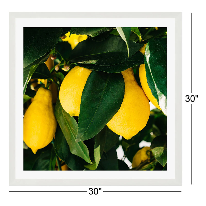 Citrons de la côte d'Amalfi, H 30 po x l 30 po x P 0,75 po, Cadre simple blanc, Oui