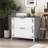 File Cabinet with 2 Drawers and Lock-767760248