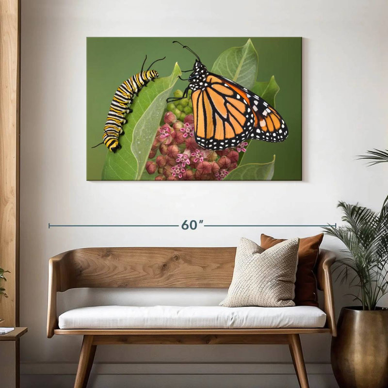 Milkweed Monarch And Caterpillar, 30" H x 45" W