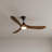 Modern Smart Ceiling Fan With Led Light-1133478863