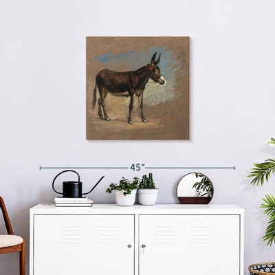 Brampt Study. A Mule