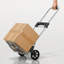 Chariot télescopique pliable en acier de 220 lb à poignée télescopique avec roues TPR 16,53 po x 11 po-116166742