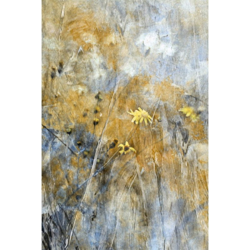 Wrapped Canvas Print, 50.8 cm H x 76.2 cm W