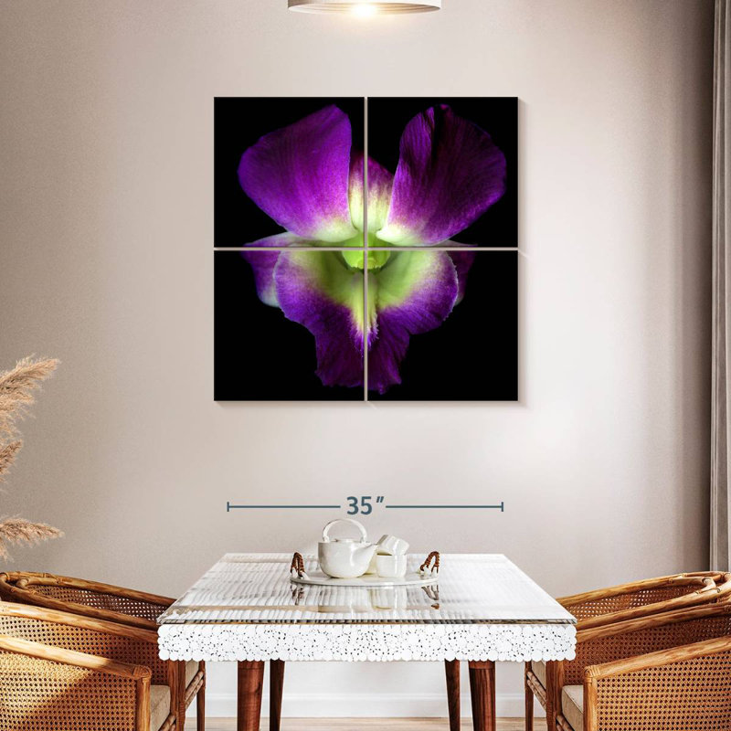 Harnek Solo Orchid
