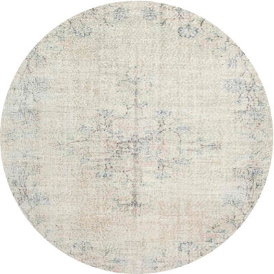 Adraya Oriental Indoor Rug