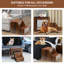 Multi-niveaux avec marche amovible pour chiens et chats - Perchoir intérieur en bois avec coussin et bloc-notes