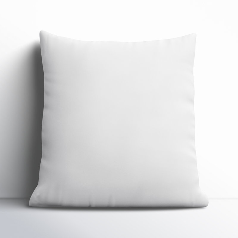 Coussin en duvet de qualité supérieure Steves, 22 po x 22 po