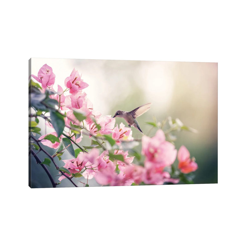 Serenity by Rupa Sutton - Gallery-Wrapped Canvas Giclée on Canvas, 20.32 cm H x 30.48 cm W, Canvas