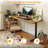 Itsuo Adjustable Metal Base Standing Desk-1038872116-1038872117