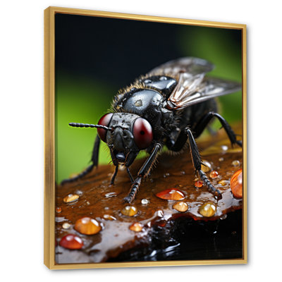 " Insects Bugs Portrait I "