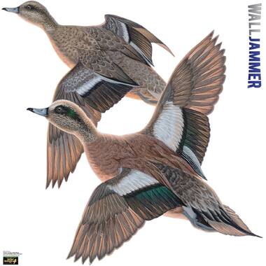 Advanced Graphics Cabela's Malard Duck Wall Decal | Wayfair