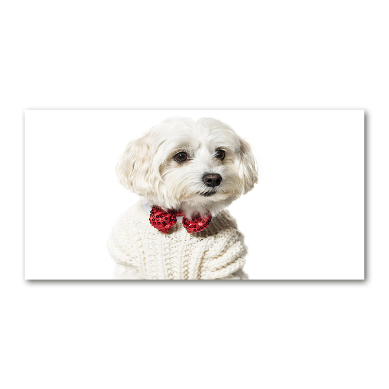 Maltese in a Bow Tie 1 Piece Wrapped Canvas Wall Art
