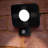 Oxendine 1-Light LED Flood Light