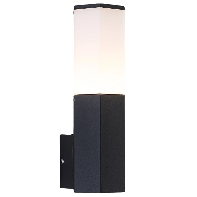 Lohyn Frosted Glass Outdoor Armed Sconce