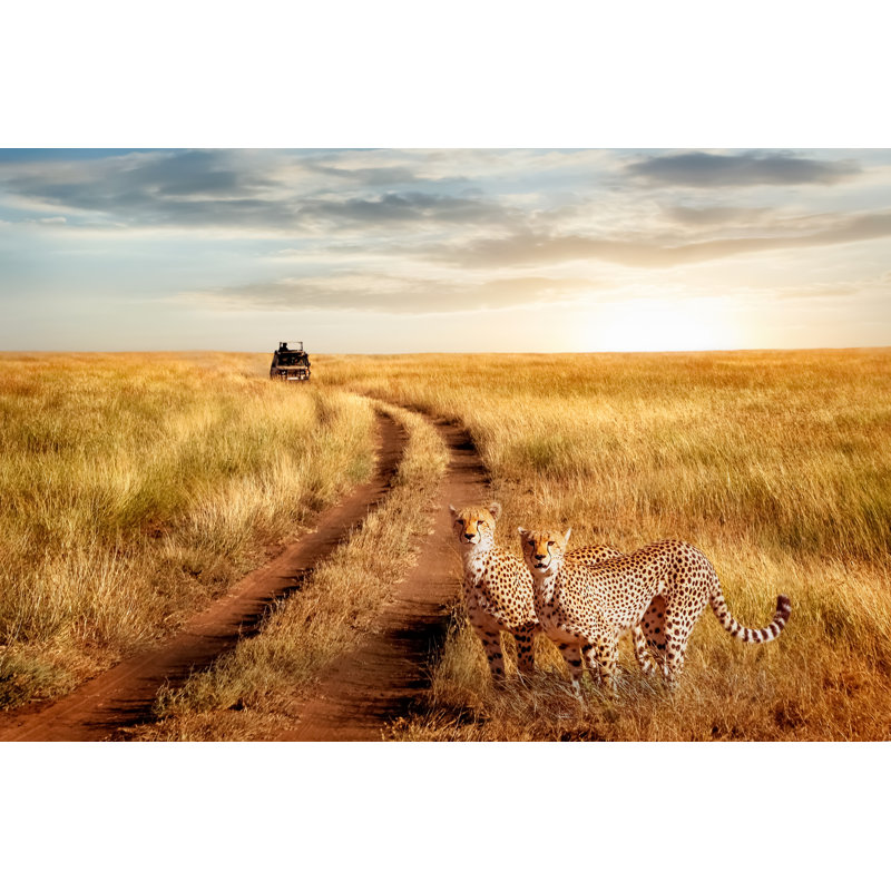 Safari africain sur toile par Delbars, H 8 po x l 12 po x P 1,25 po