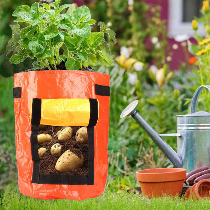 Deago Grow Bag