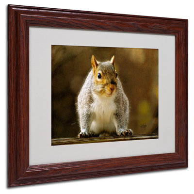 Lois Bryan - Single Picture Frame Photograph on Canvas