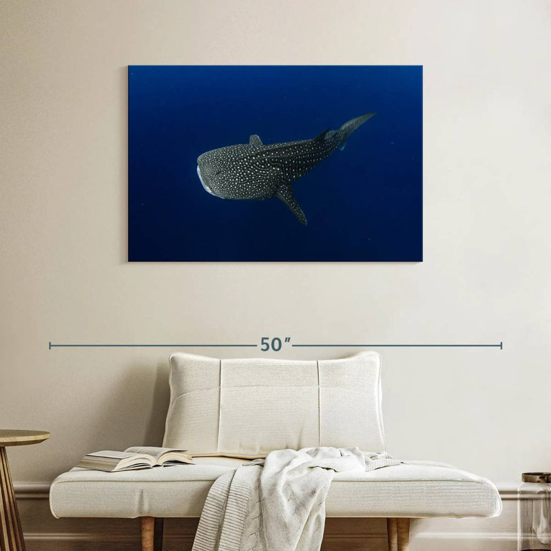 Brampt Whale Shark In Deep Blue Water