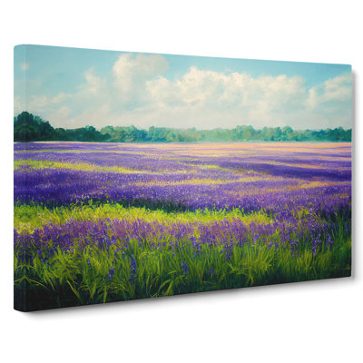 Gentle Bluebell Field - Wrapped Canvas