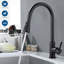 Belfry Kitchen Larsen Pull Out Kitchen Faucet
