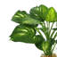 Faux Hosta Plant in Glass Vase