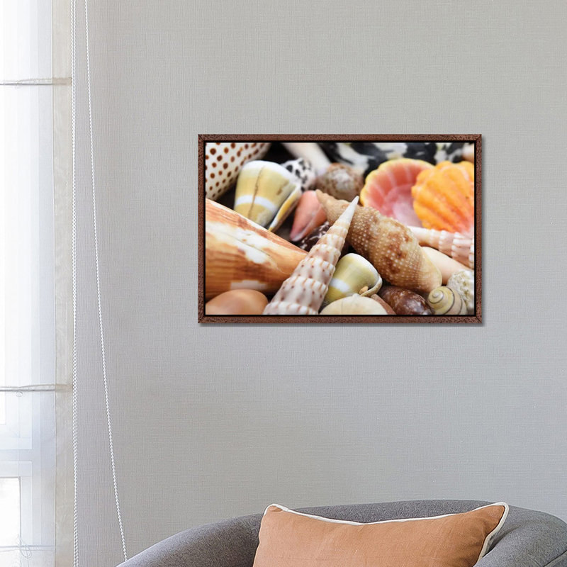 Tropical Shell Still-Life by Savanah Plank - Floater Frame Rectangle Print on Canvas, 66.04 cm H x 45.72 cm W