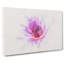 Water Lily - Wrapped Canvas-56667908
