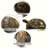 21.3" Resin Turtle Garden Statue