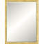 Perri Solid Wood Beveled Mirror-81254742-172863534