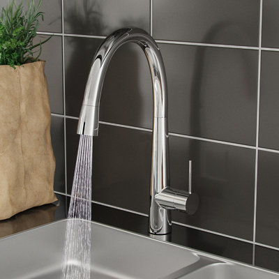 Belfry Kitchen Jaliyah Kitchen Faucet