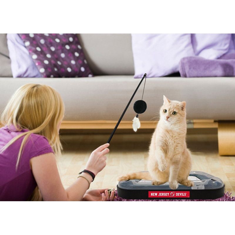 Tucker Murphy Pet™ NHL Hockey Field Cat Scratcher Toy with Catnip & Plush Feather Wand