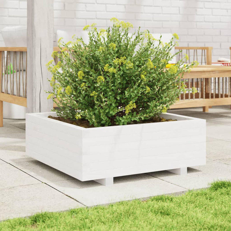Bhavika Planter Box, White , 10.43" H x 27.56" W x 27.56" D