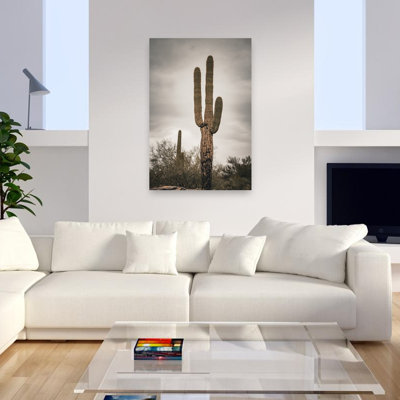 Desert Saguaro Sky Serene Tranquil Abstract Cactus Landscape Nature Wall Art Print