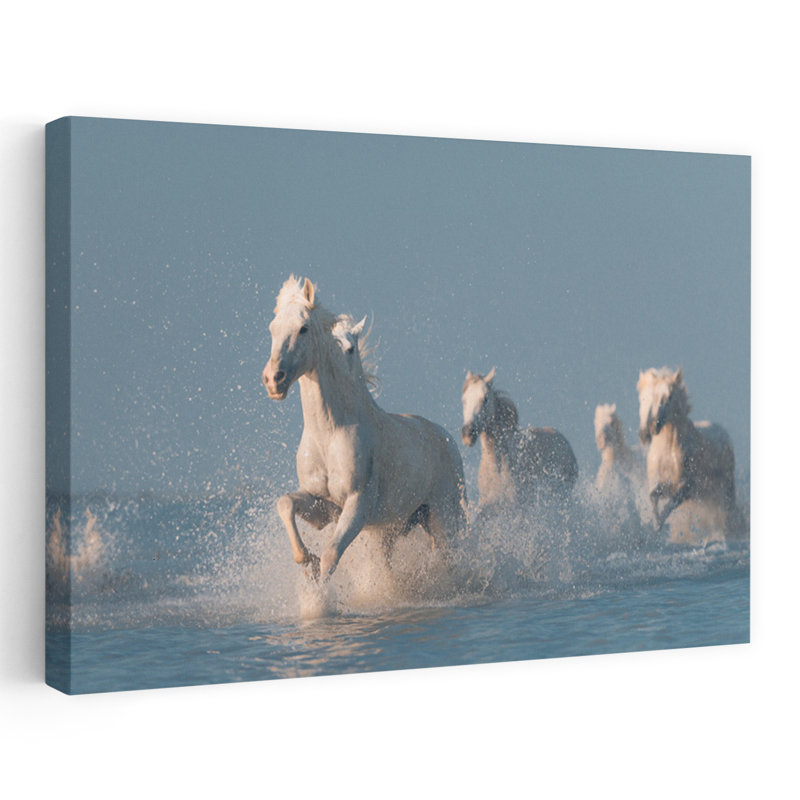 Chevaux blancs qui courent dans la nature, 40" H x 60" W